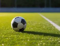 曼联错过梦,帕尔默加盟,真相揭晓,开云体育,开云体育官网,开云体育app,开云体育app下载