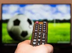 杨文龙在单,板滑雪男子,大跳台项目,开云体育,开云体育官网,开云体育app,开云体育app下载