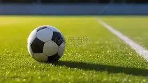 曼联错过梦帕尔默加盟真相揭晓，教练透露内情！或有望退役后加盟？